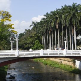 Circuito de la Biodiversidad COP16