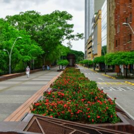 Circuito de la Biodiversidad COP16