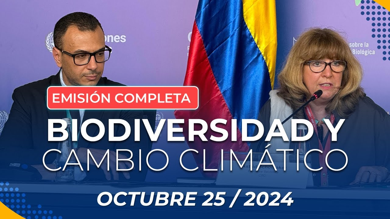 Emisión central Noticiero 90 Minutos - 25 de octubre de 2024