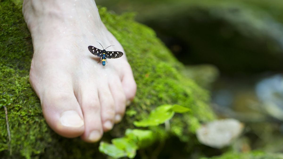 piel-de-mariposa-2