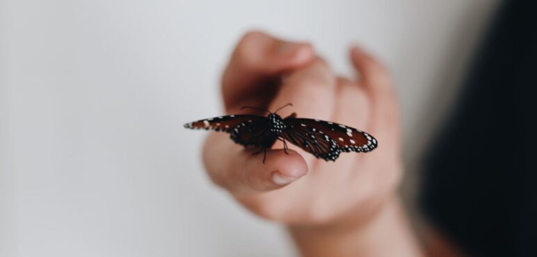 Conociendo sobre la 'piel de mariposa': Una particular enfermedad que aún no tiene cura