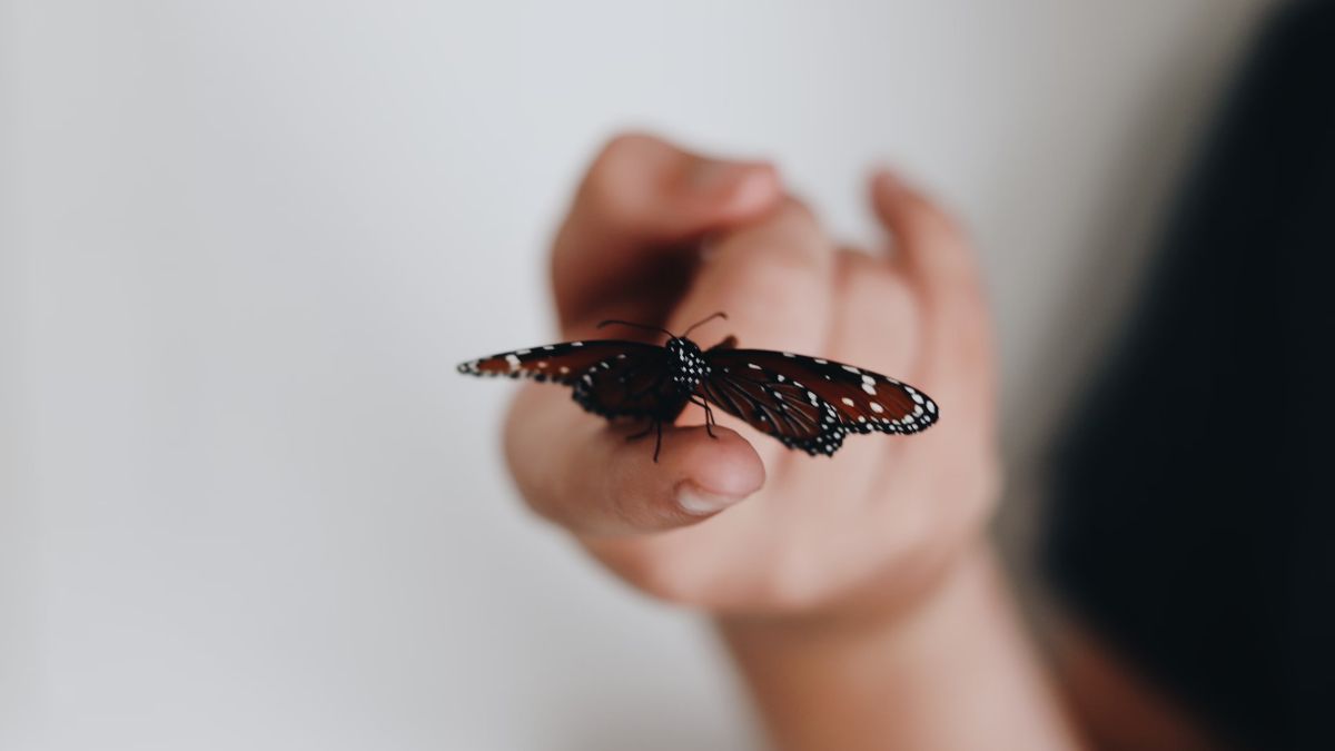 Conociendo sobre la 'piel de mariposa': Una particular enfermedad que aún no tiene cura