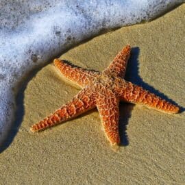 ¿Cuál es la mejor playa de Colombia? ChatGPT resuelve esta duda y recomienda destino