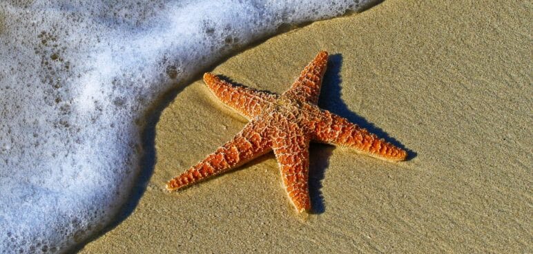 ¿Cuál es la mejor playa de Colombia? ChatGPT resuelve esta duda y recomienda destino
