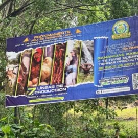 Polémica por proyecto agroindustrial en zona boscosa en Pance