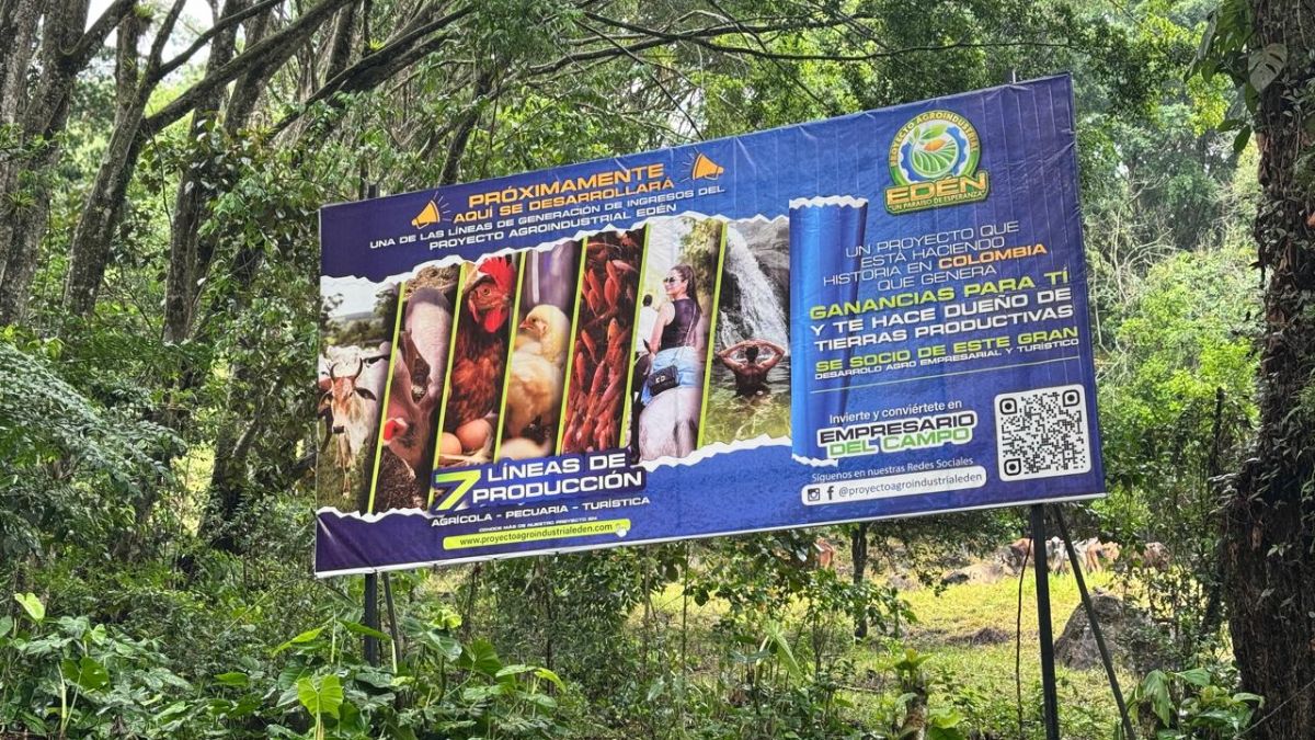 ¡Atención! Fuerte aguacero provoca emergencias en el sur de Cali