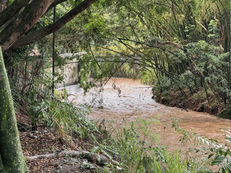 Cali lanza patrulla marítima para patrullar el Río Cauca