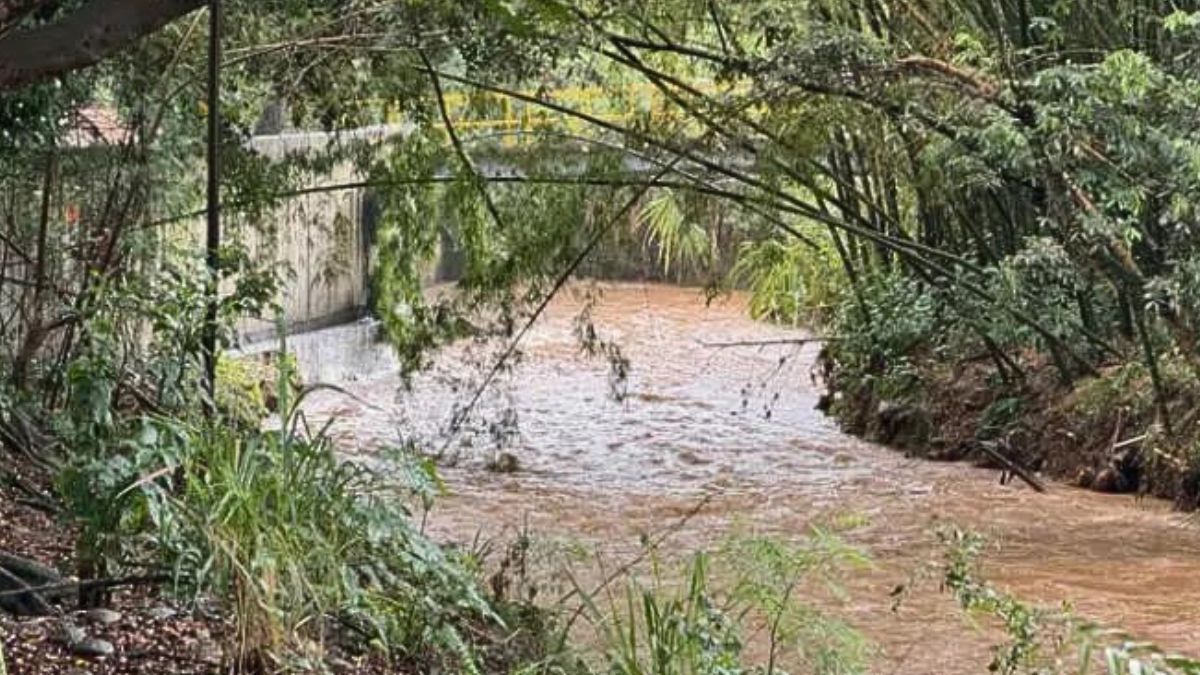 Cali lanza patrulla marítima para vigilar el Río Cauca