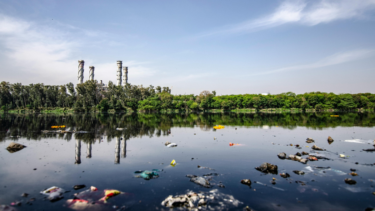 El cambio climático, un factor clave en el aumento global del dengue