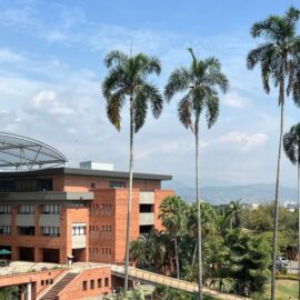 Investigadoras UAO transforman residuos vegetales; iniciativa premiada a nivel nacional