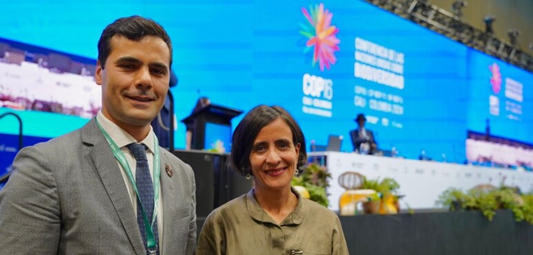 República de Armenia fue seleccionada como anfitrión de la COP17, tras reñida votación