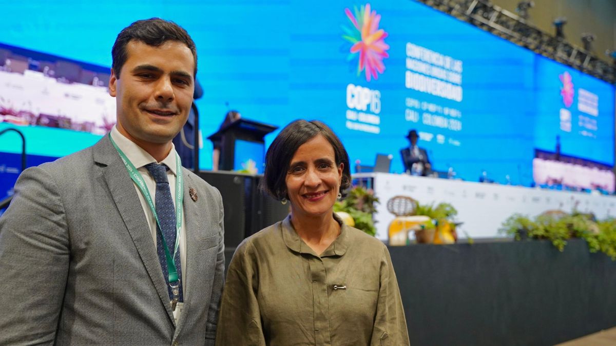 "Hubo cama pa' toda la gente": Cotelco expone balance de ocupación hotelera tras COP16