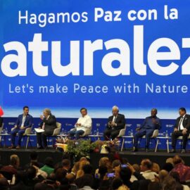 Logros parciales y obstáculos resistentes en el último día de la COP16