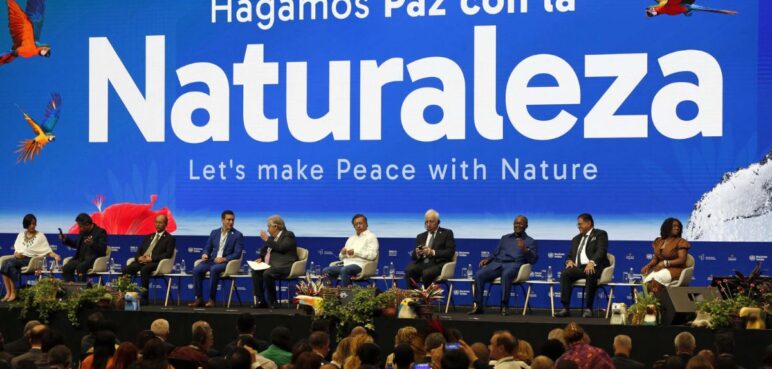 Logros parciales y obstáculos resistentes en el último día de la COP16