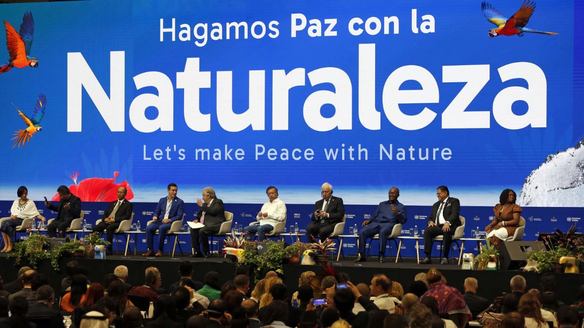 Logros parciales y obstáculos resistentes en el último día de la COP16