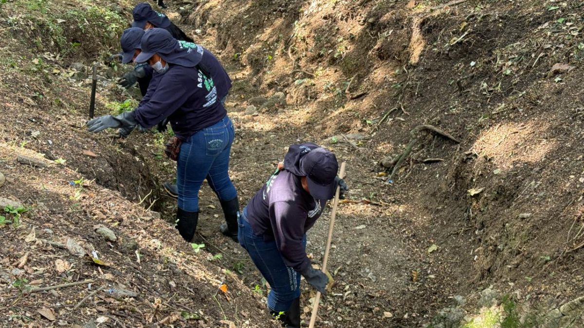 Realizan limpieza en la quebrada del Bosque en Cali para evitar inundaciones