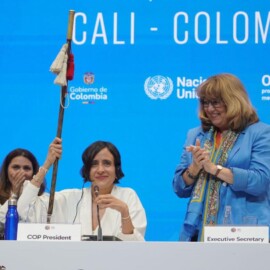COP16 marca hito: órgano subsidiario incluye a comunidades indígenas y afrodescendientes