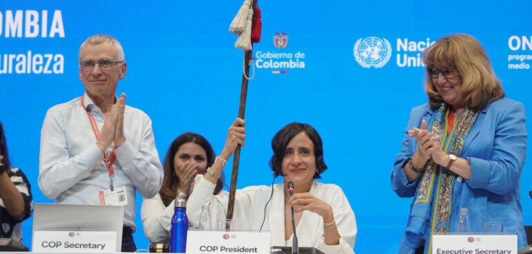 COP16 marca hito: órgano subsidiario incluye a comunidades indígenas y afrodescendientes