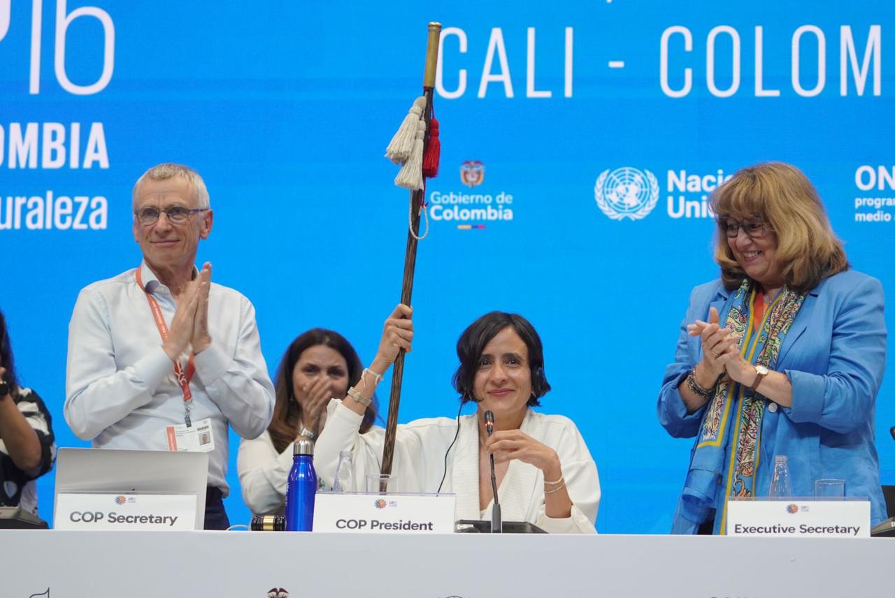 Cali y el Valle celebran los resultados de la COP16: impacto económico y crecimiento empresarial