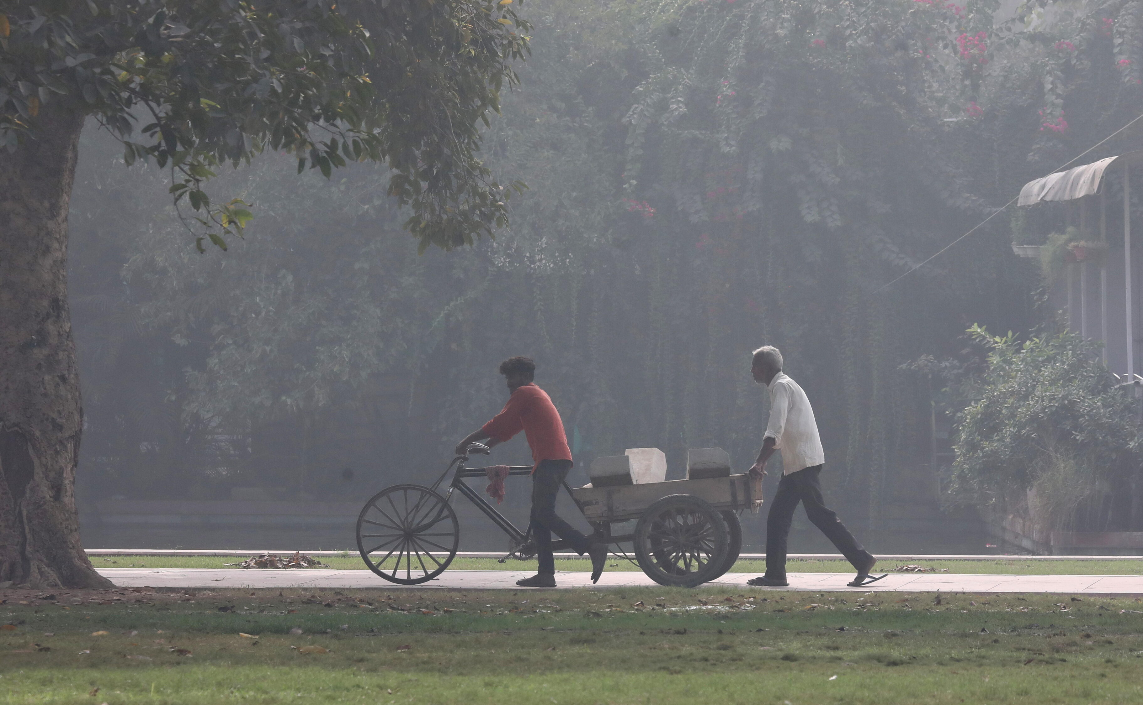 Niebla tóxica en Nueva Delhi provoca cancelaciones de vuelos debido a la baja visibilidad