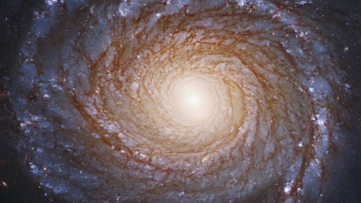 Impactante video de agujero negro que la Nasa ha recreado: Eriza la piel