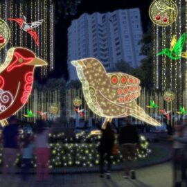 ¿Cuándo se encenderán las luces del alumbrado navideño en Cali?