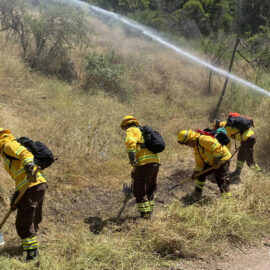 De esta manera Chile buscará prevenir incendios forestales