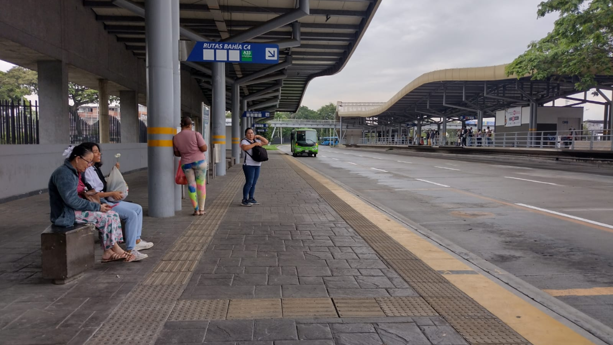 El ‘Megalodón’ llega a la Biblioteca Departamental: ¿hasta cuándo lo podrá visitar?