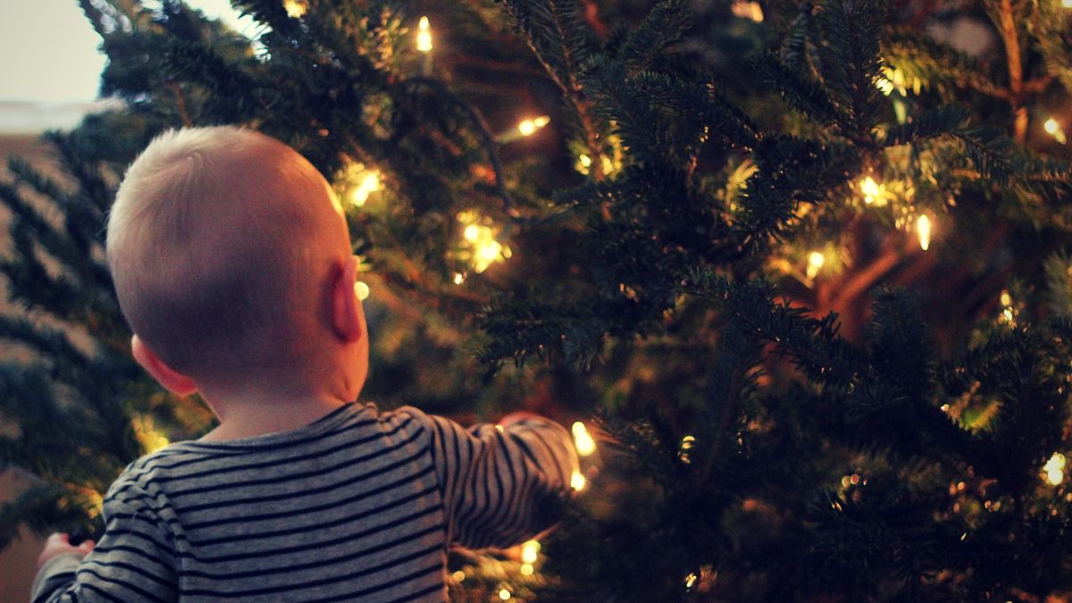 navidad-2-1