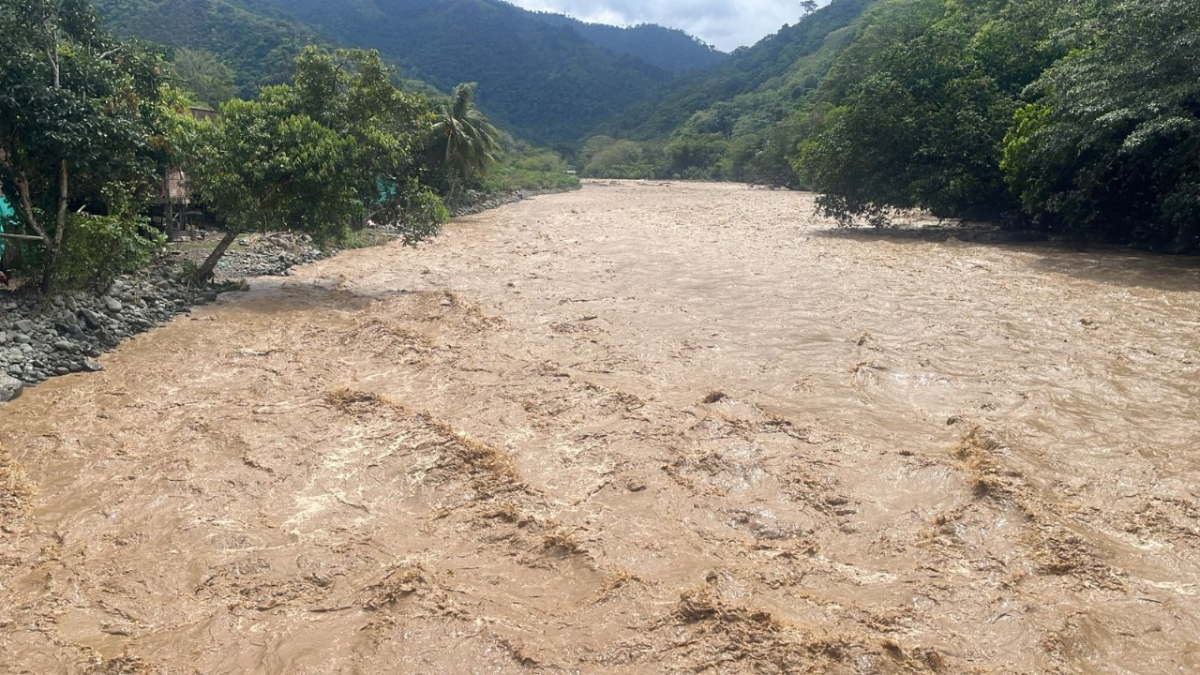 Sembrando futuro en el Valle: iniciativa ambiental de caleño