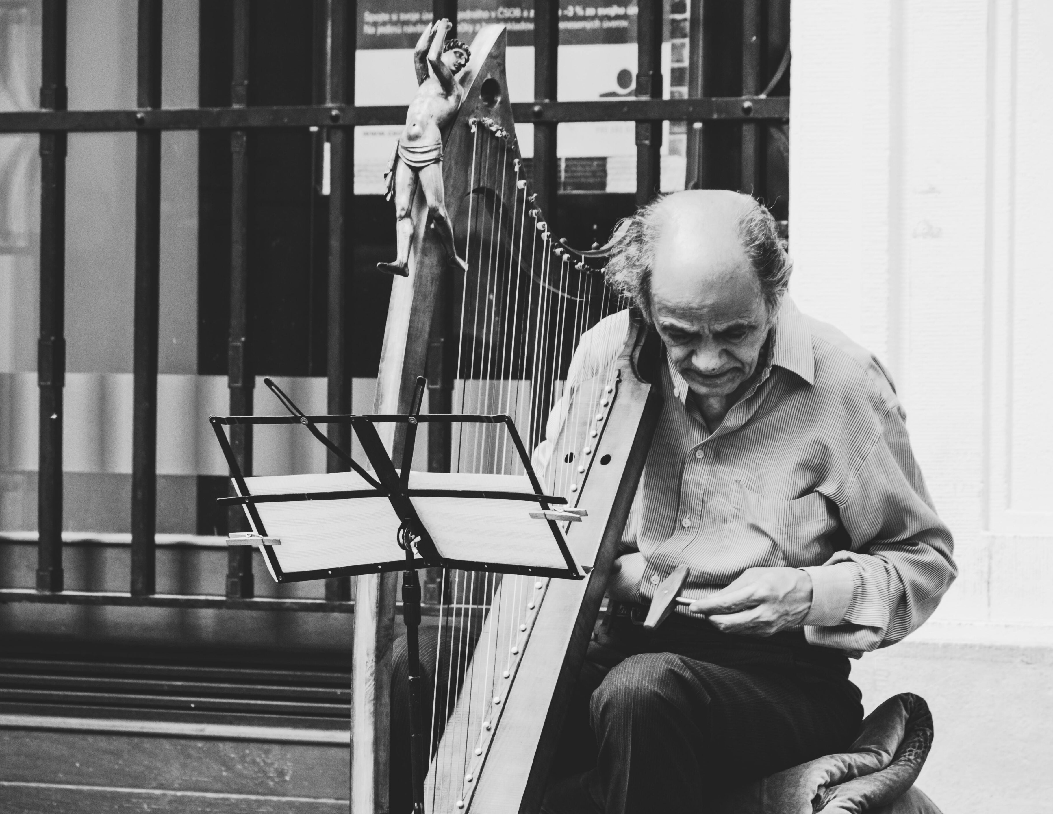 Día internacional del músico 
