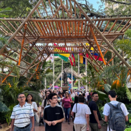 Cali recibe elogios en la COP16 por su calidez, biodiversidad y cultura