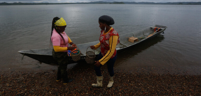 Mujeres piangüeras: guardianas del manglar y promotoras de tradición en el Pacífico colombiano