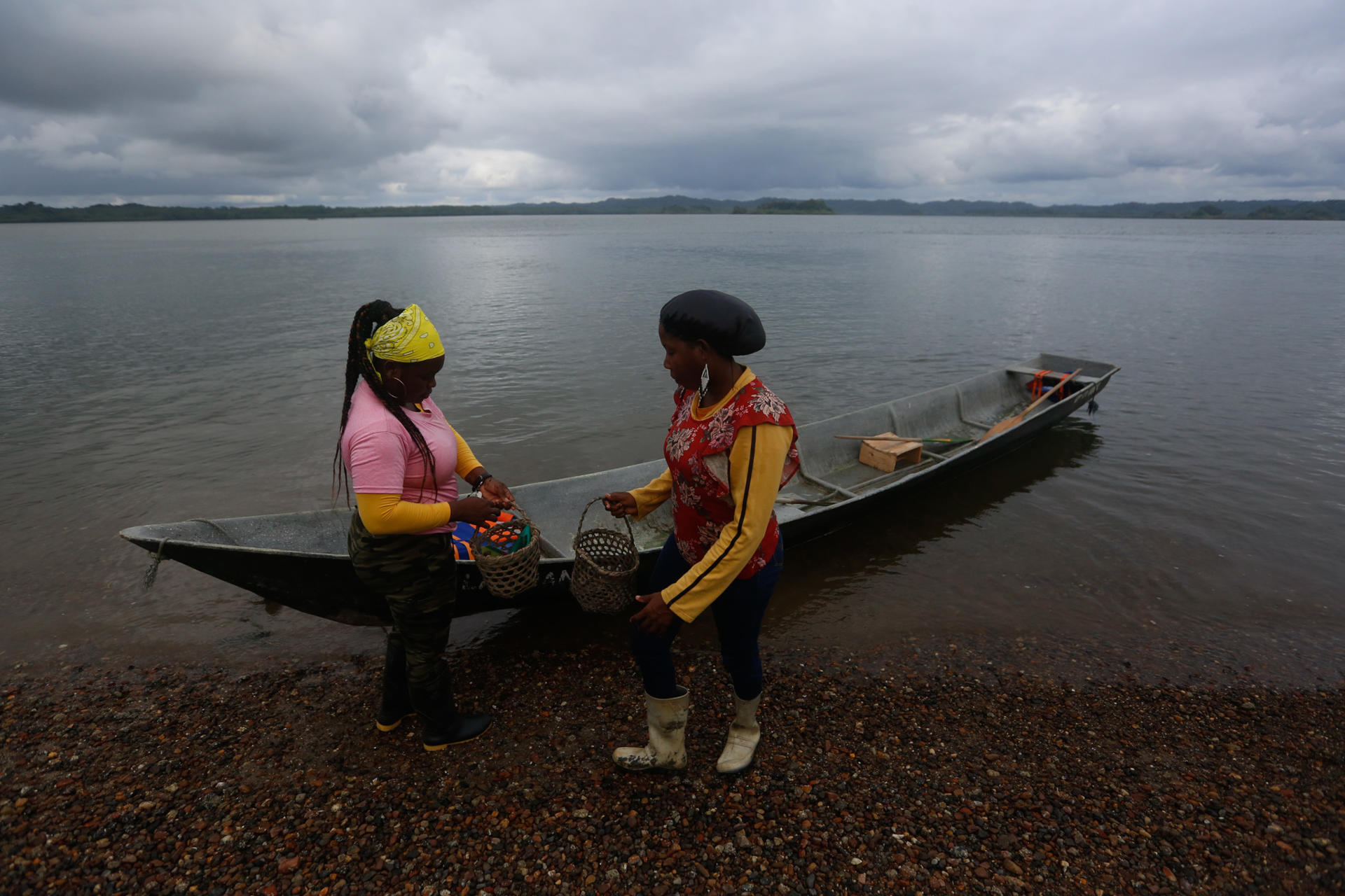 Crisis climática en el Amazonas: la Cruz Roja lanza programa para combatir amenazas