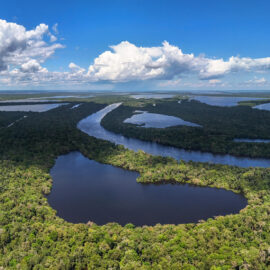 Crisis climática en el Amazonas: la Cruz Roja lanza programa para combatir amenazas