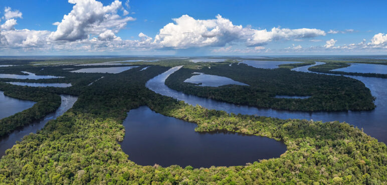 Crisis climática en el Amazonas: la Cruz Roja lanza programa para combatir amenazas