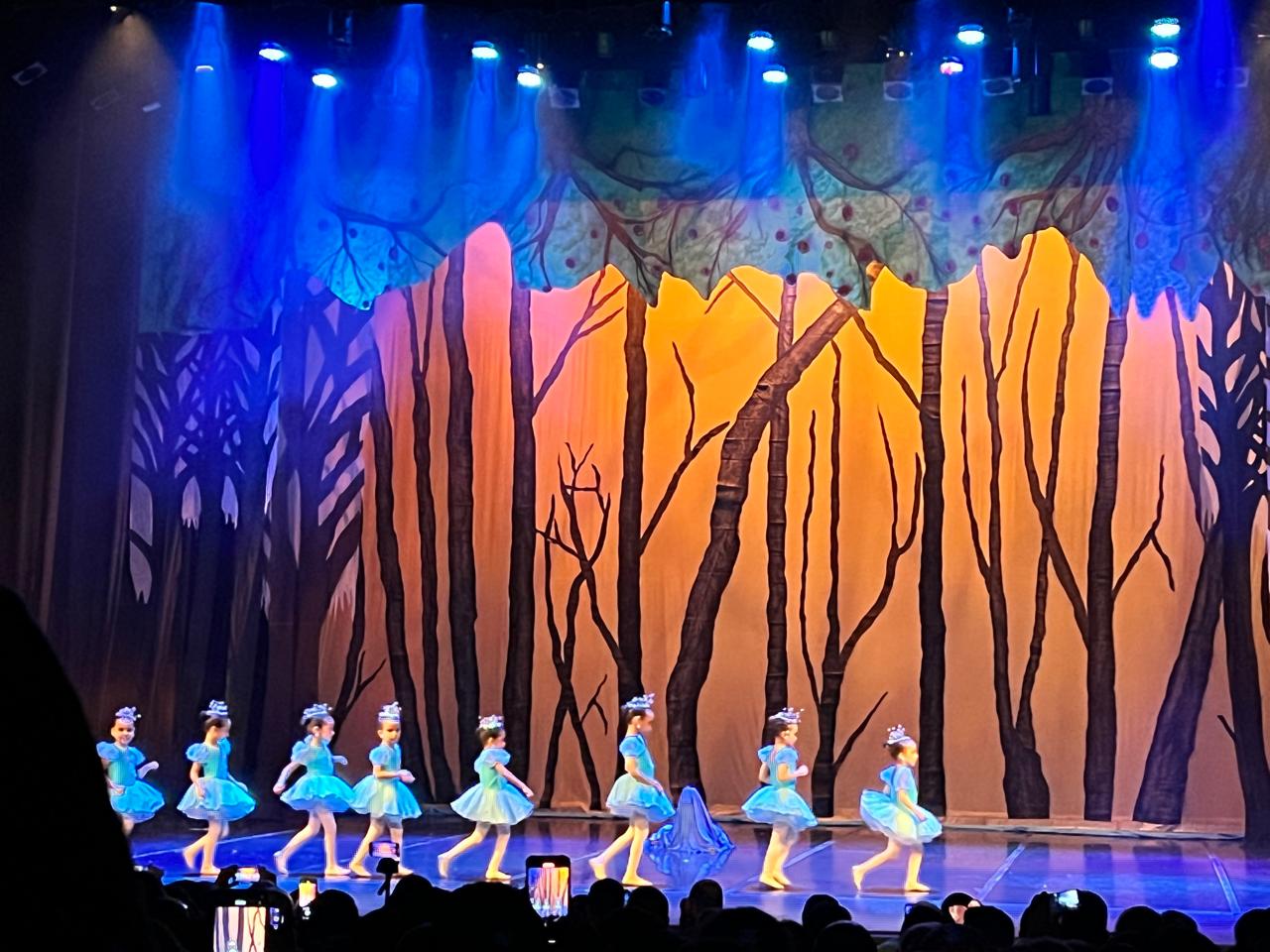 Academia de Ballet