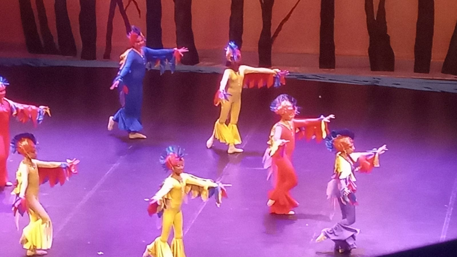Academia de Ballet