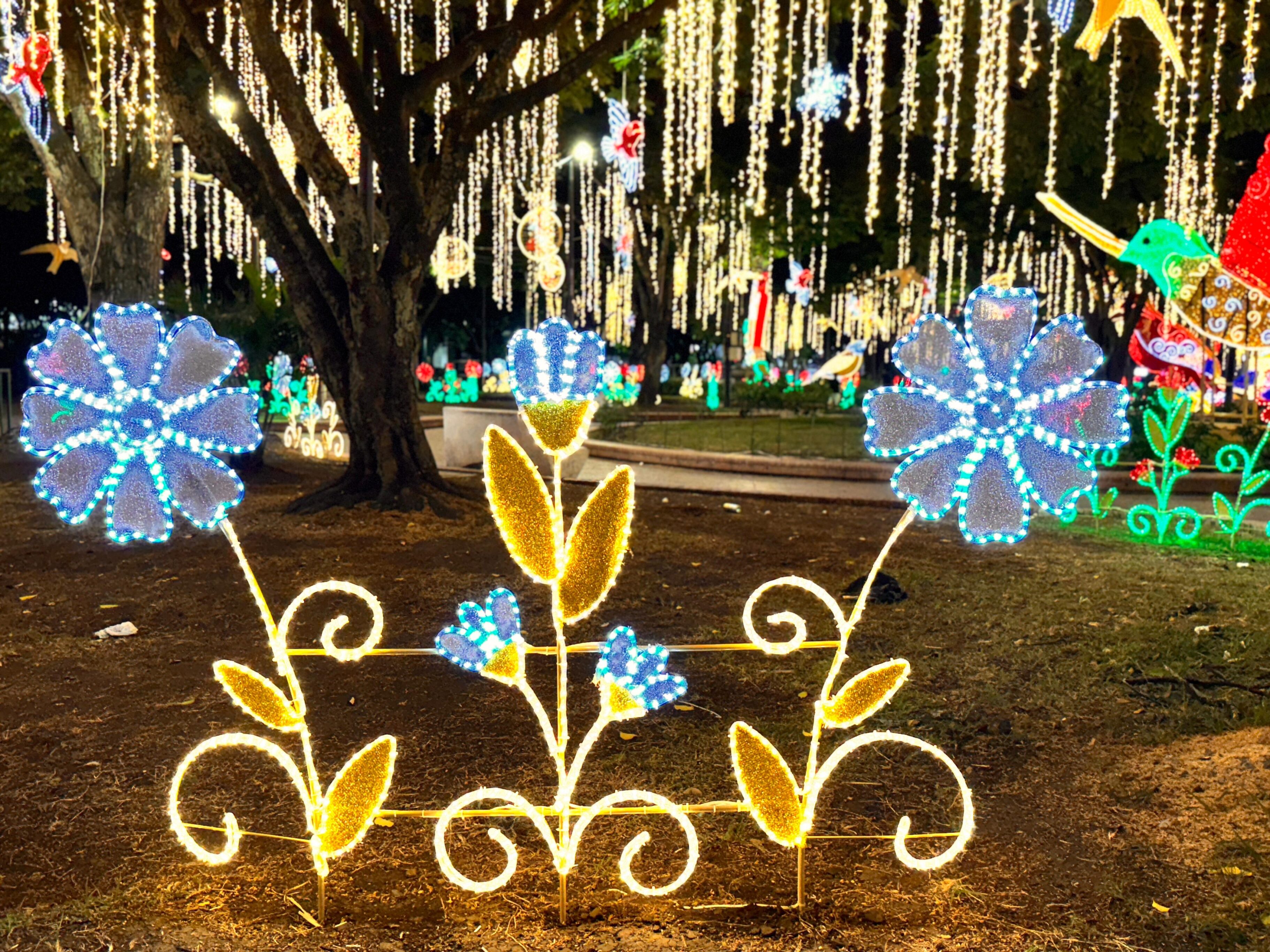 Alumbrado navideño en Cali 2024.