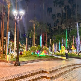 Alumbrado navideño en Cali 2024.