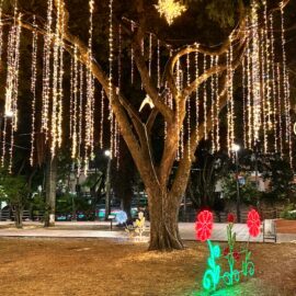 Alumbrado navideño en Cali 2024.