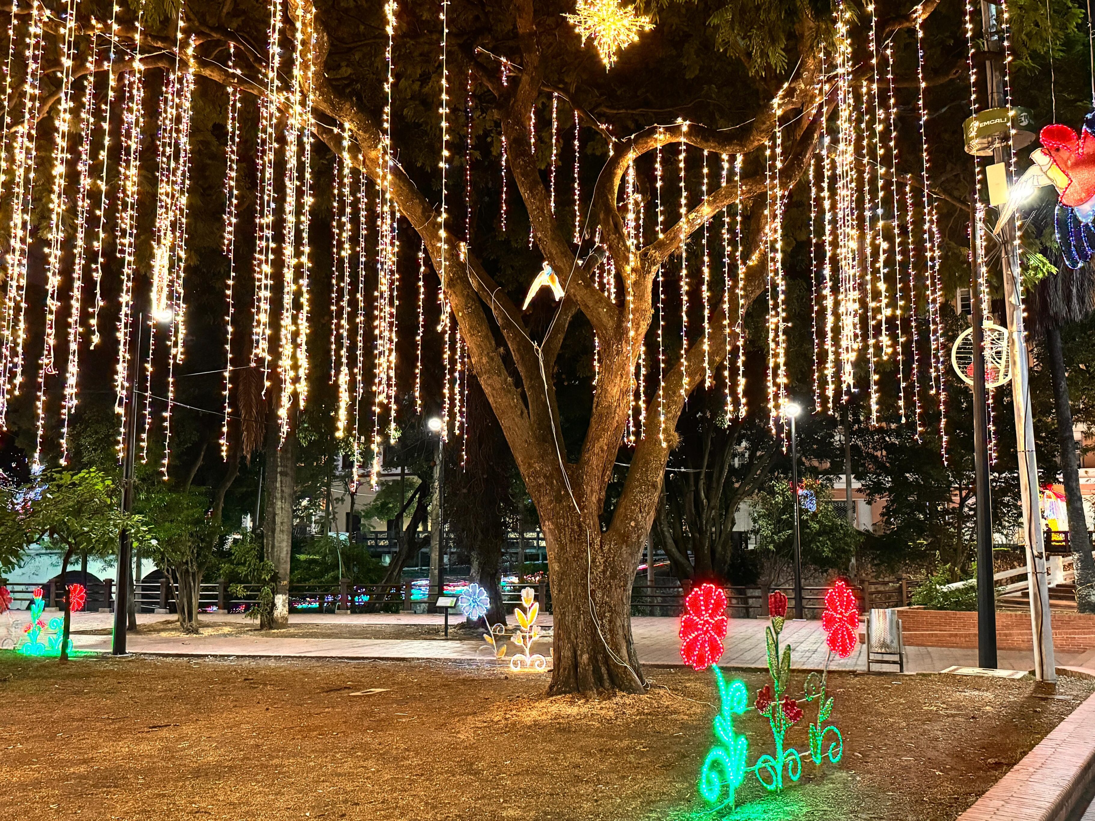Alumbrado navideño en Cali 2024.