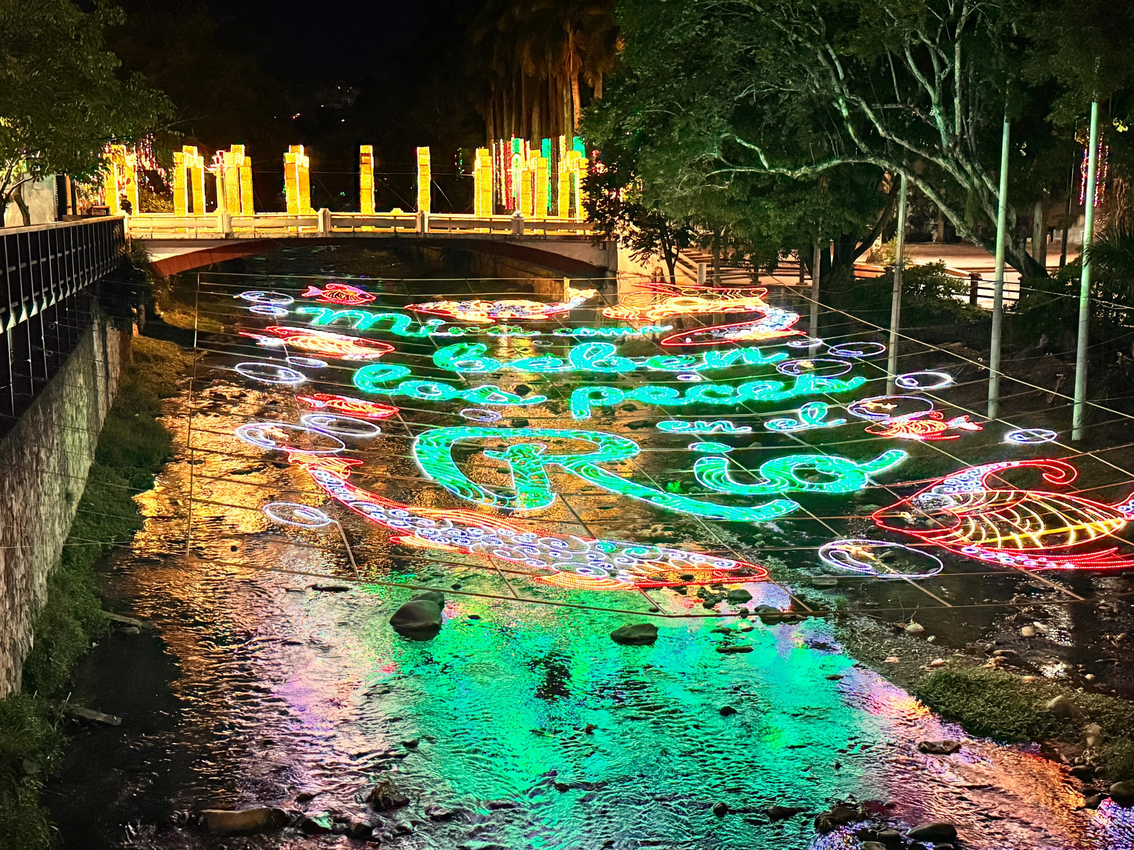 Alumbrado navideño en Cali 2024.