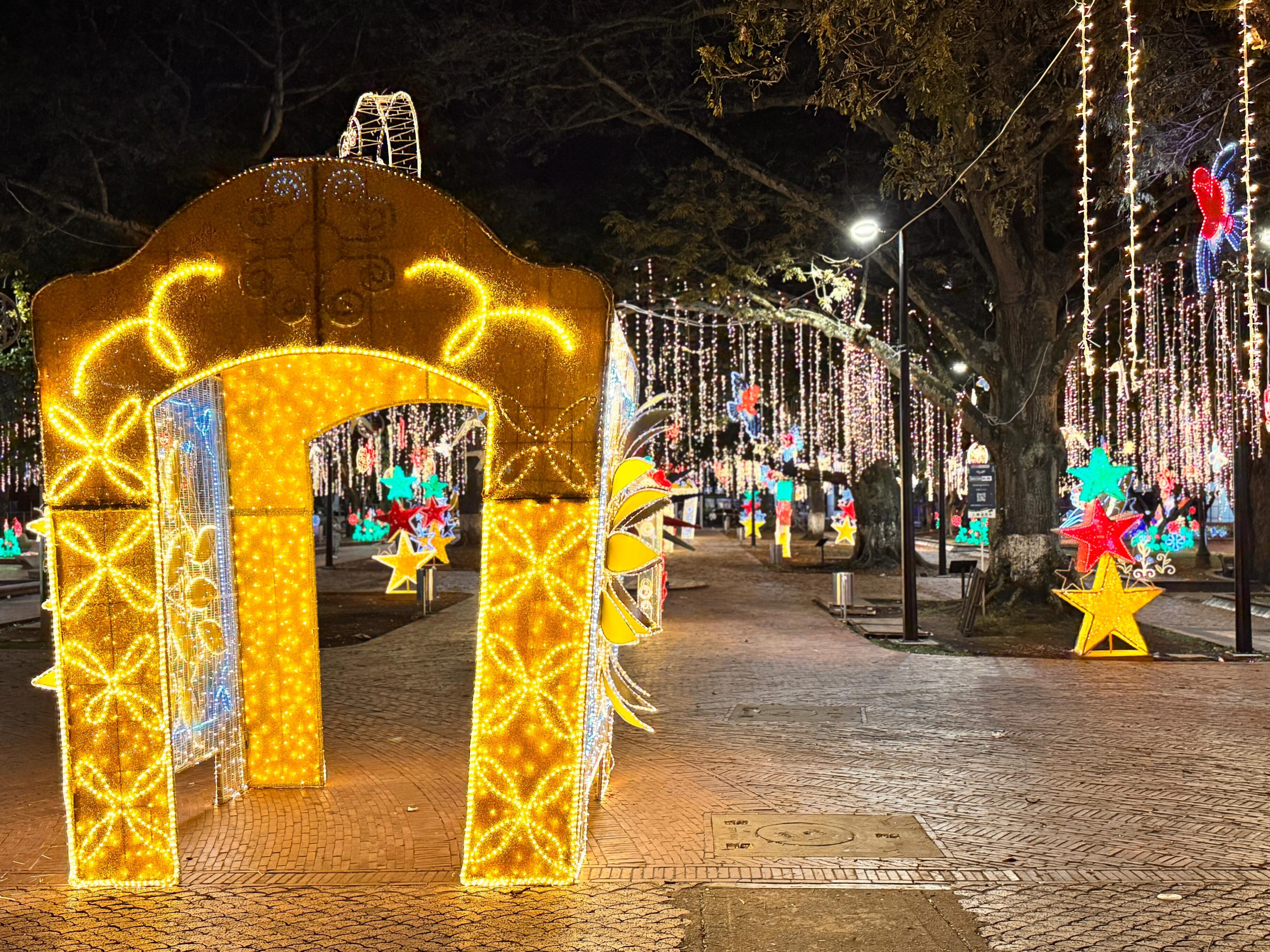 Alumbrado navideño en Cali 2024.