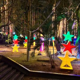 Alumbrado navideño en Cali 2024.
