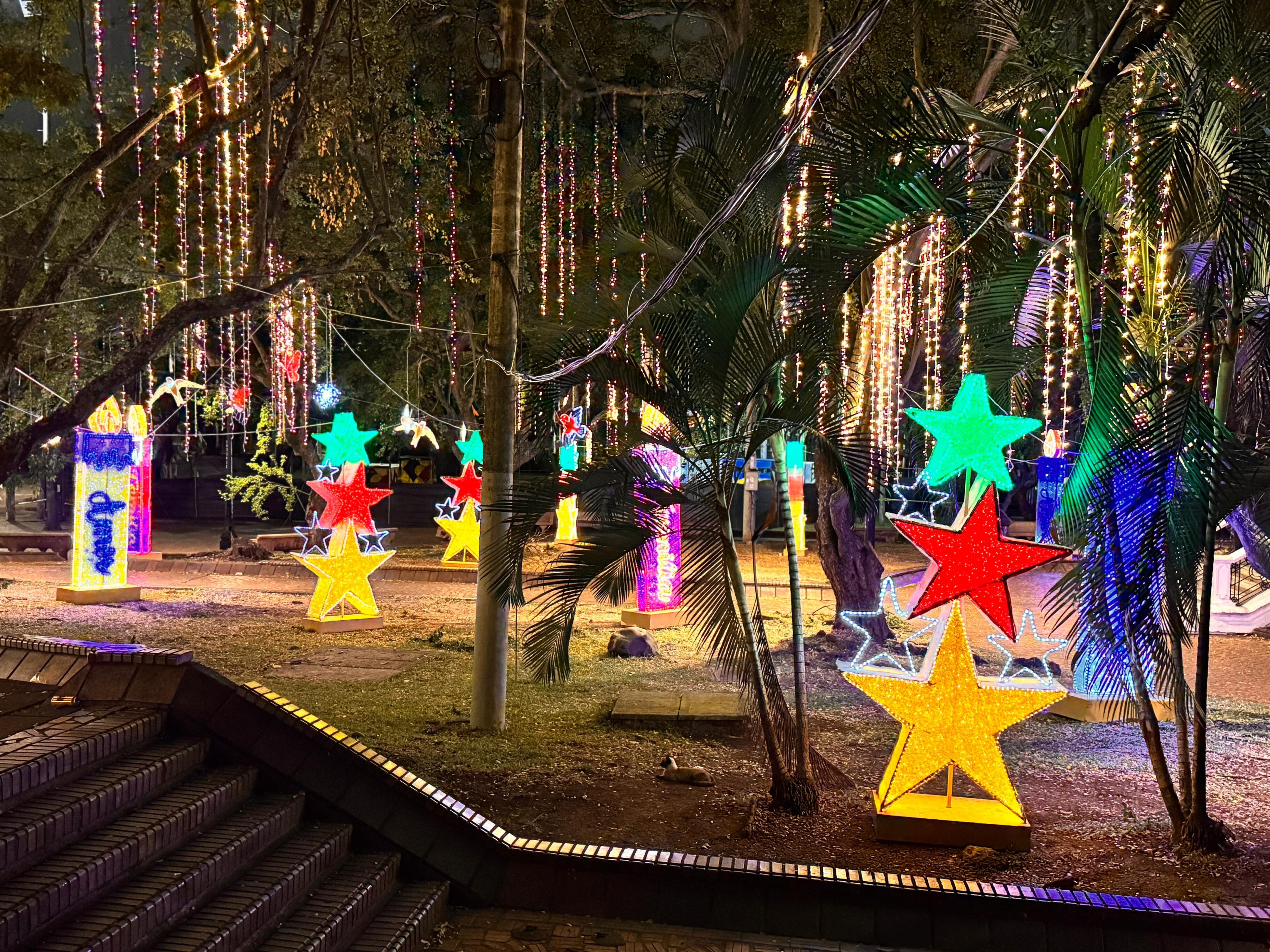 Alumbrado navideño en Cali 2024.