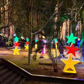 Alumbrado navideño en Cali 2024.
