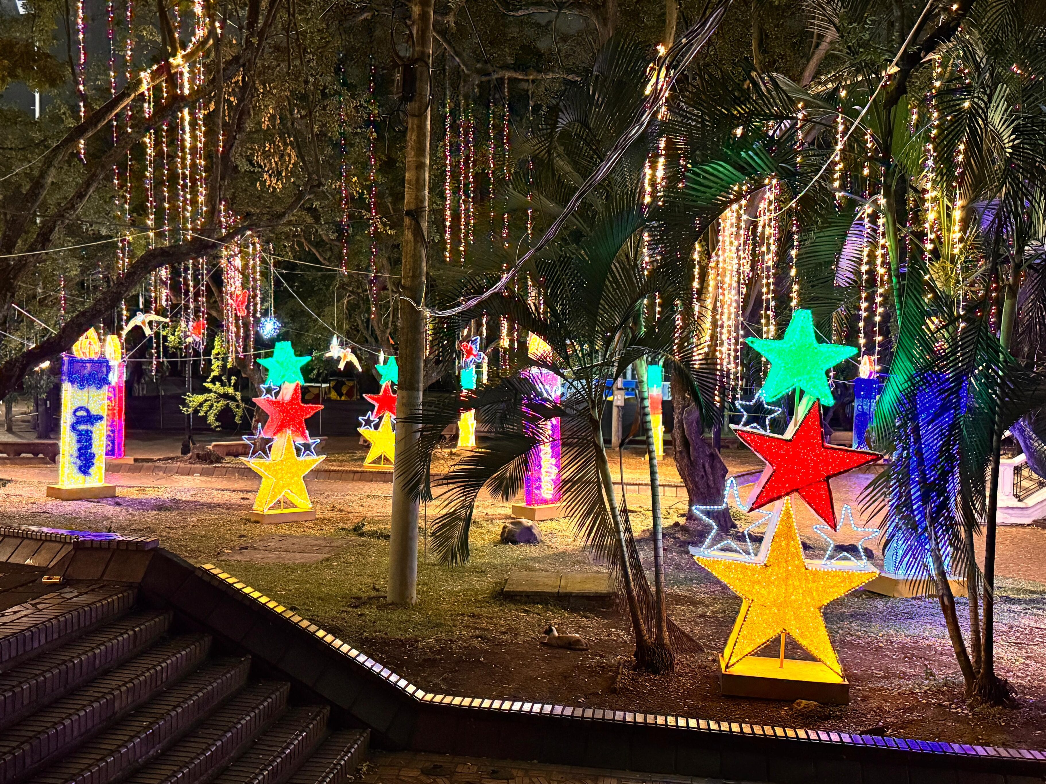 Alumbrado navideño en Cali 2024.