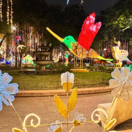 Alumbrado navideño en Cali 2024.
