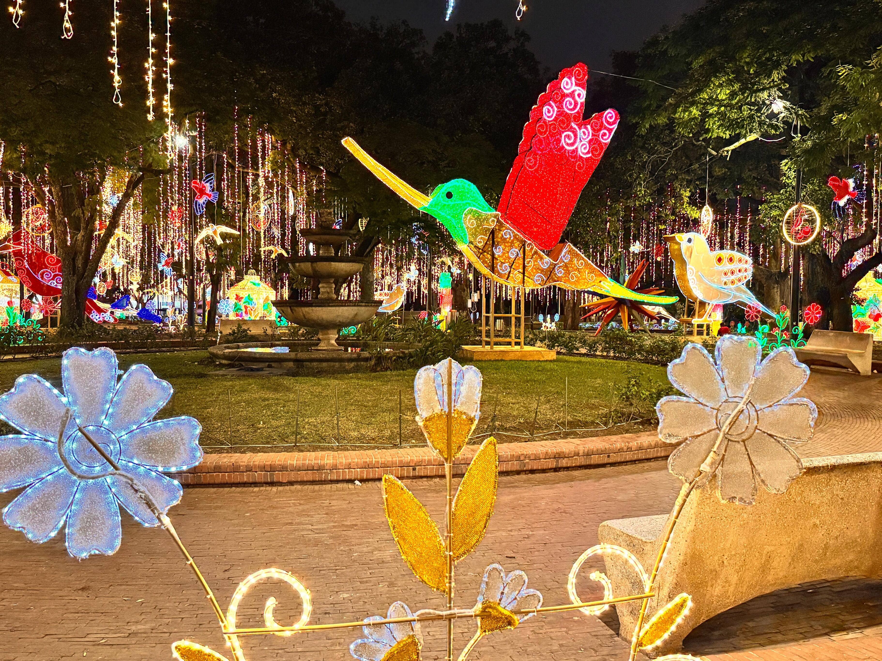 Alumbrado navideño en Cali 2024.